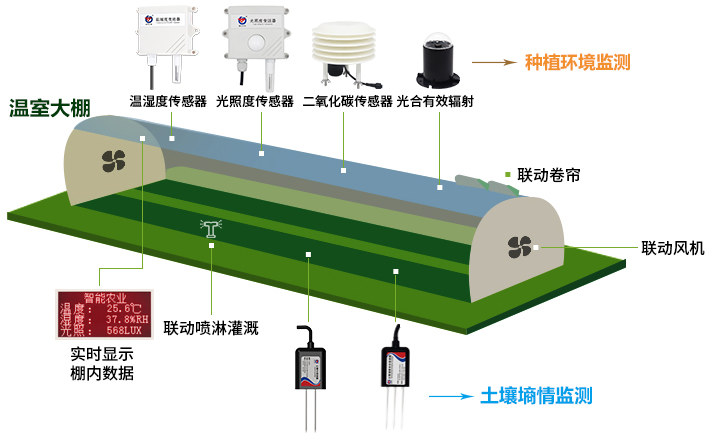 智慧農(nóng)業(yè)(圖1)