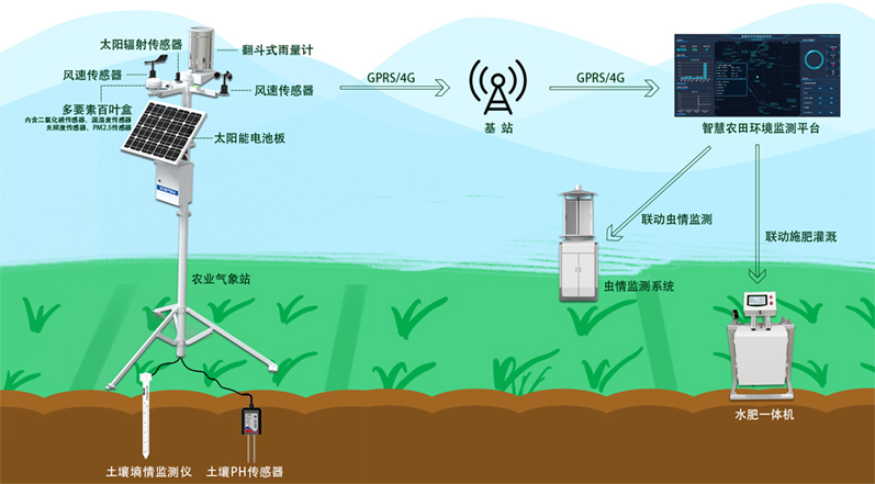 智慧農(nóng)業(yè)(圖2)